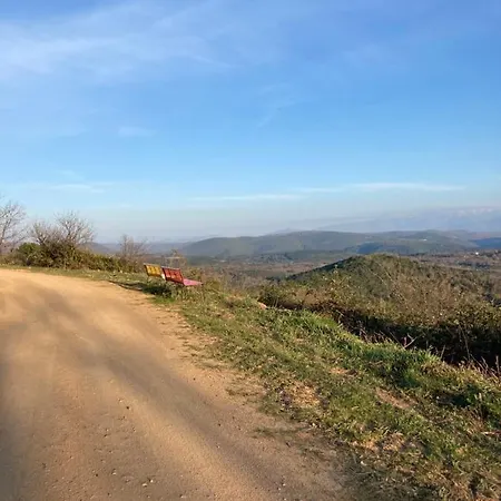 Adelaida Villanueva del Conde