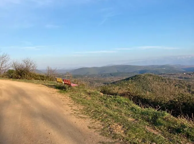 Adelaida Villanueva del Conde